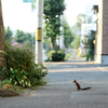 人のそばに