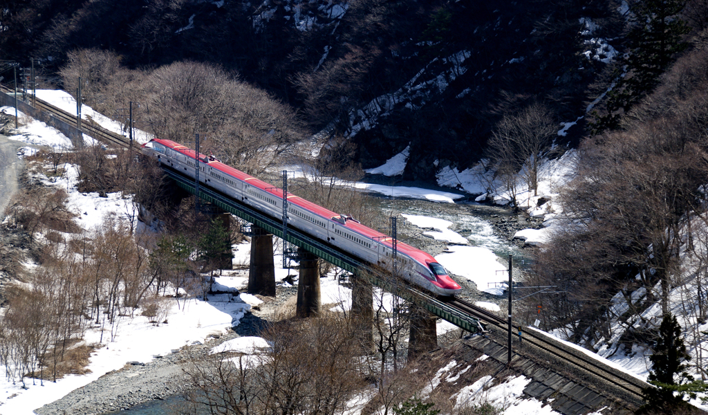 JAPAN RED