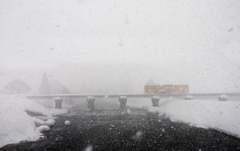 雪雪雪雪雪