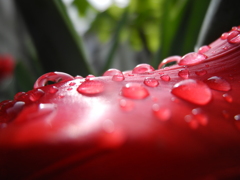 水の玉