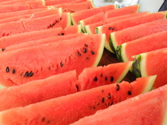 行列のできる夏