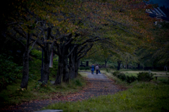 紅葉トンネル