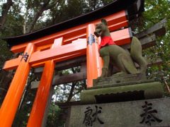 伏見稲荷