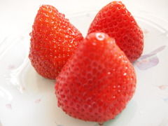 初めての写真