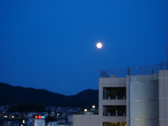 満月