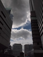 P9181288