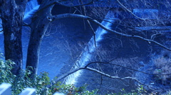 冬の京都