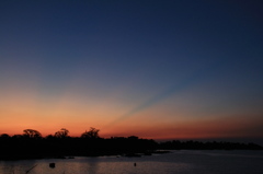 バオバブに夕日が落ち、線が赤を切る