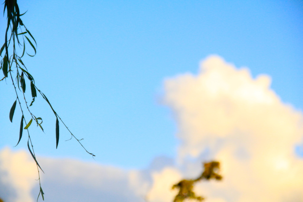 夏空。