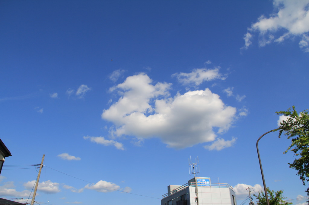 あひる雲