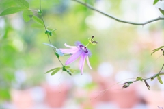 Two sides of the same coin