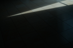 射す、刺す、指す