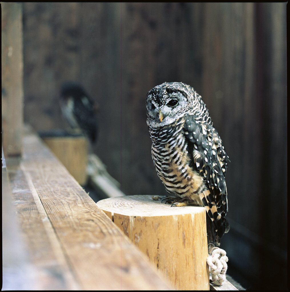 ん？なにか・・・？