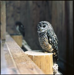 ん？なにか・・・？