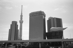 東京16