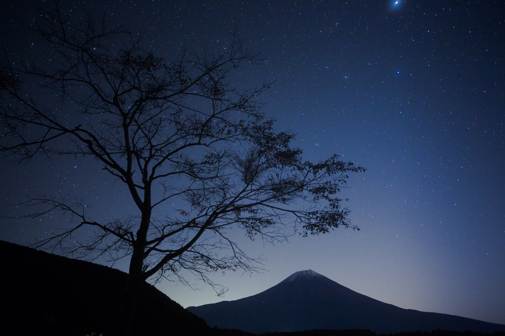 星影富士