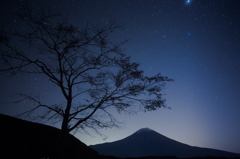 星影富士