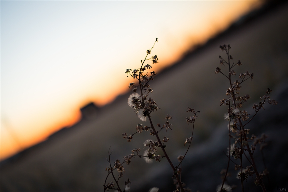 To cease to exist gradually