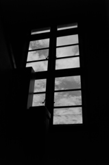 L1001565