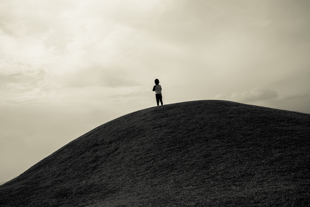 てっぺん獲った