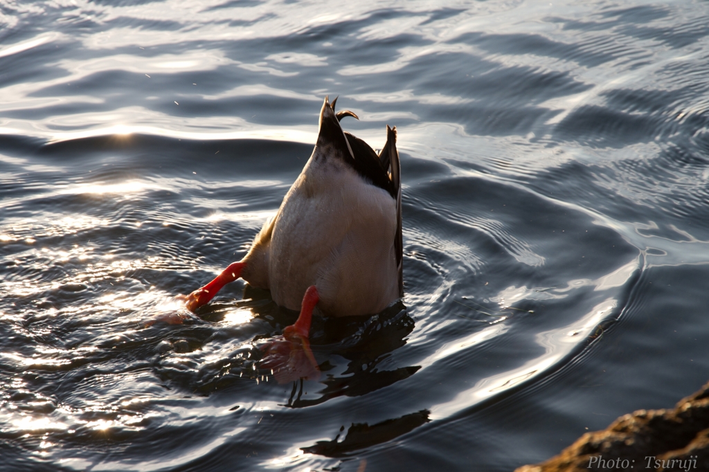 『スケキヨ』チック