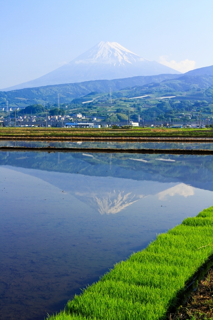 田植えの頃