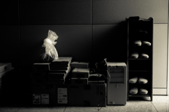 オフィスの隅にて