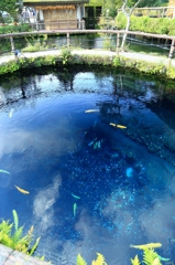 神水