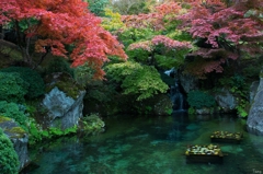 Japanese Garden