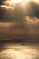 SPOT LIGHT