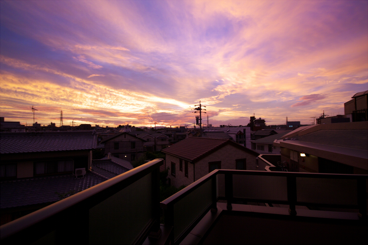 Morning glow 02