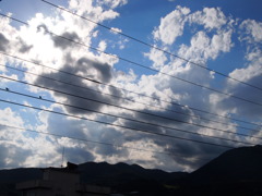 電線が邪魔