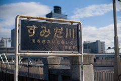 魅力的な劣化
