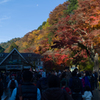 高尾山