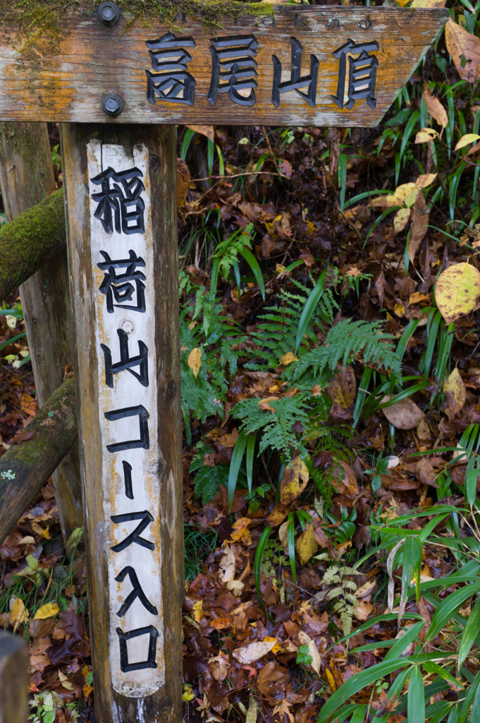 高尾山