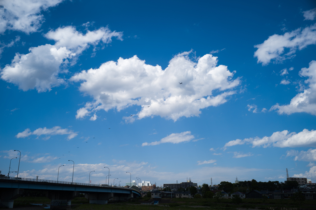 11機