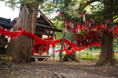 卯子酉様