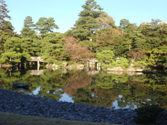 DSC02539