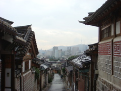 DSC02802