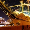 King of Sea