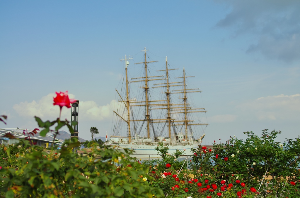RosePort