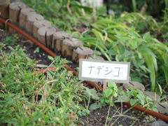 大盛り上がり