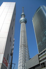 東京スカイブルー