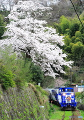 奥出雲おろち号