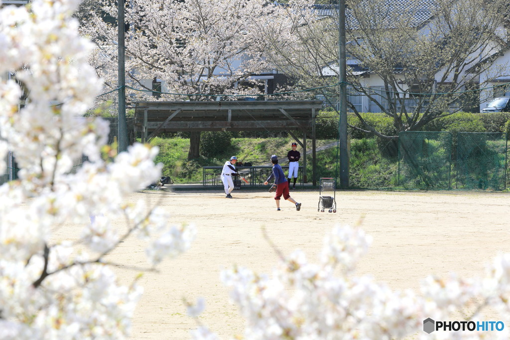 春の校庭