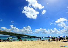 沖縄の旅