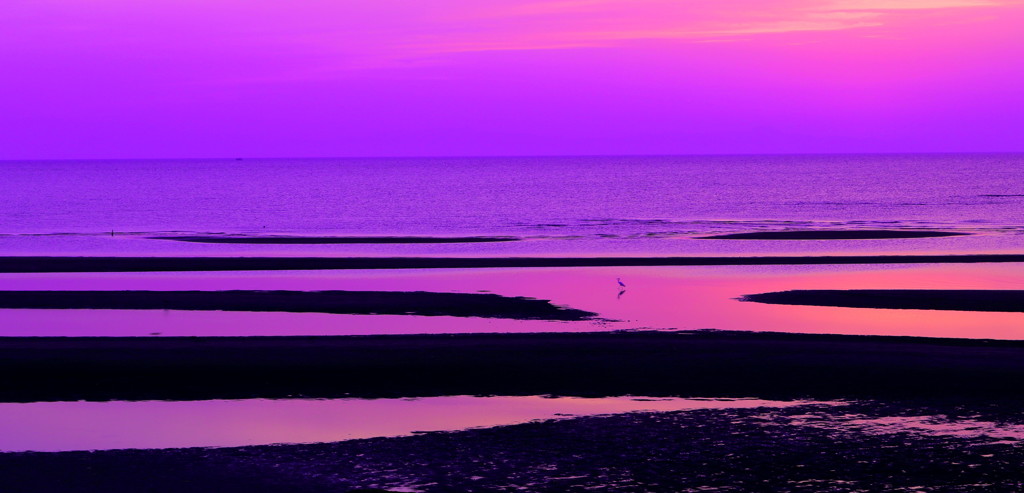 干潟と夕陽　②