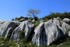 平尾台　カルスト台地　②