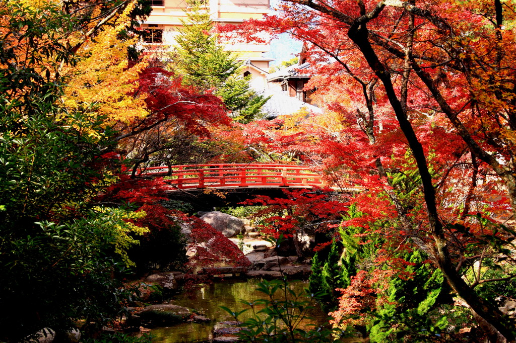 紅葉谷