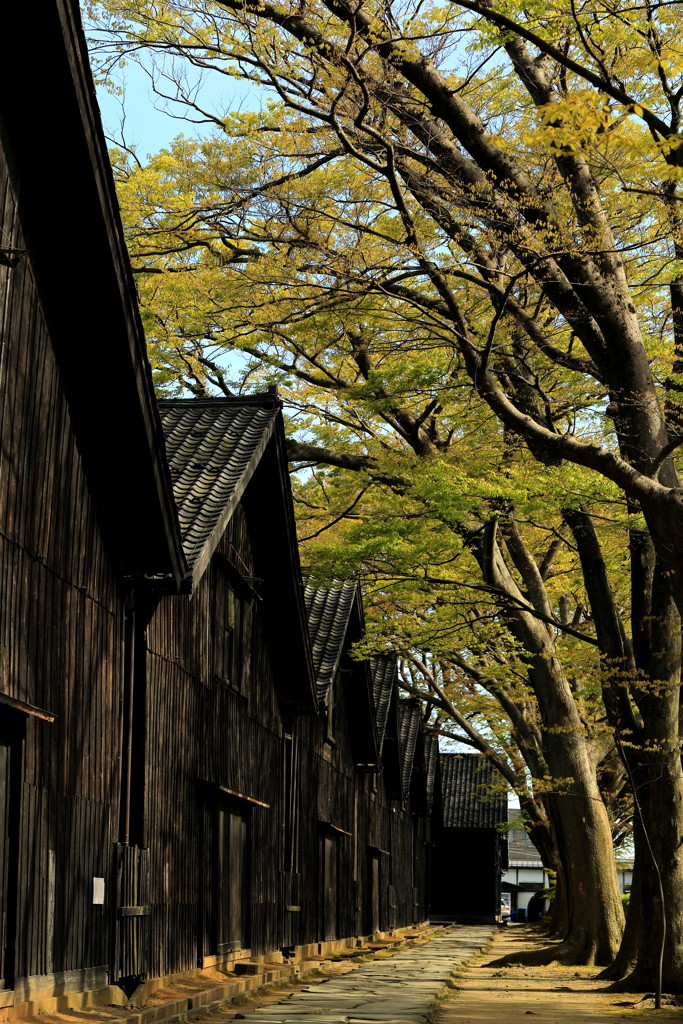 山居倉庫　